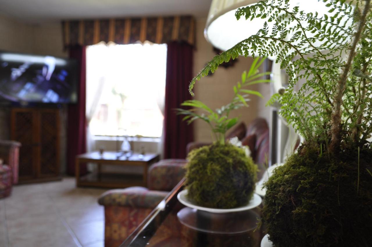 Santa Elena De Maipo Home تيموكو المظهر الخارجي الصورة